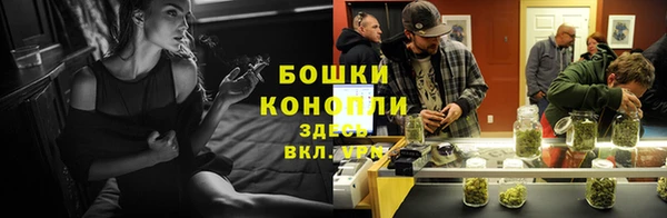 трава Елизово