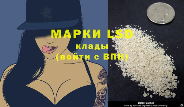 spice Ельня