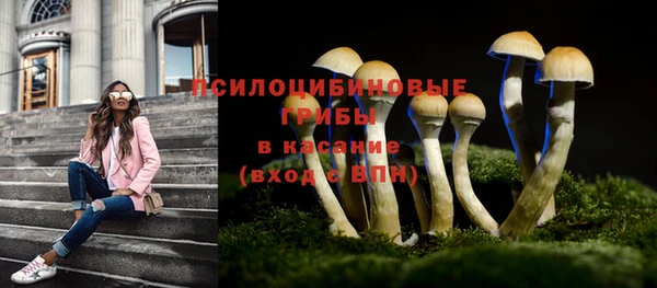 эйфоретик Елабуга
