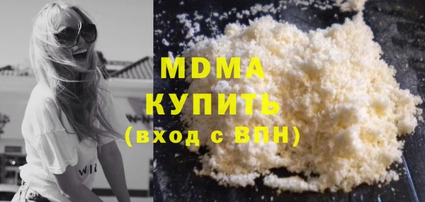 spice Ельня