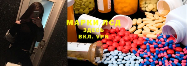 spice Ельня
