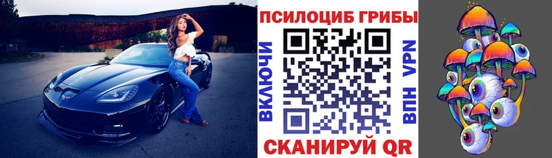 это официальный сайт  Жирновск  Псилоцибиновые грибы Magic Shrooms 