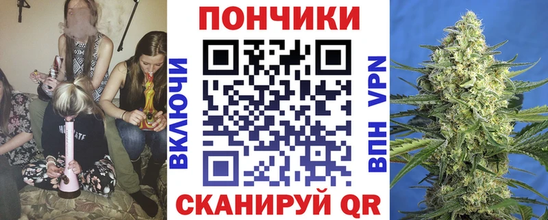 Бошки Шишки конопля  Жирновск 